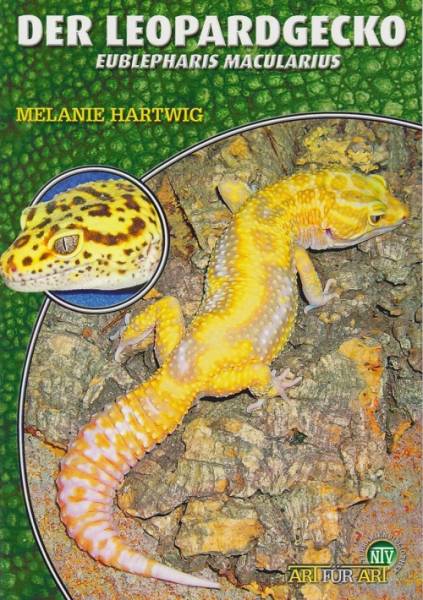 Der Leopardgecko